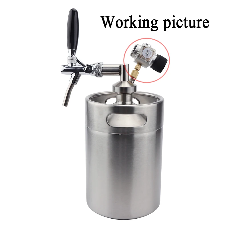 Co2 regulator