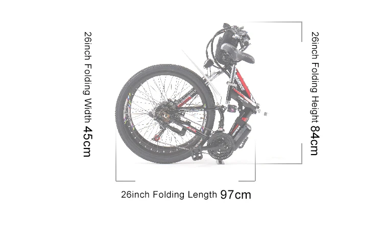 folding scooter (2)