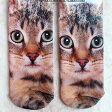 Принцесса Сладкие гетры Лолита таблетки носки Харадзюку печати носки с котами amo spank короткие женские