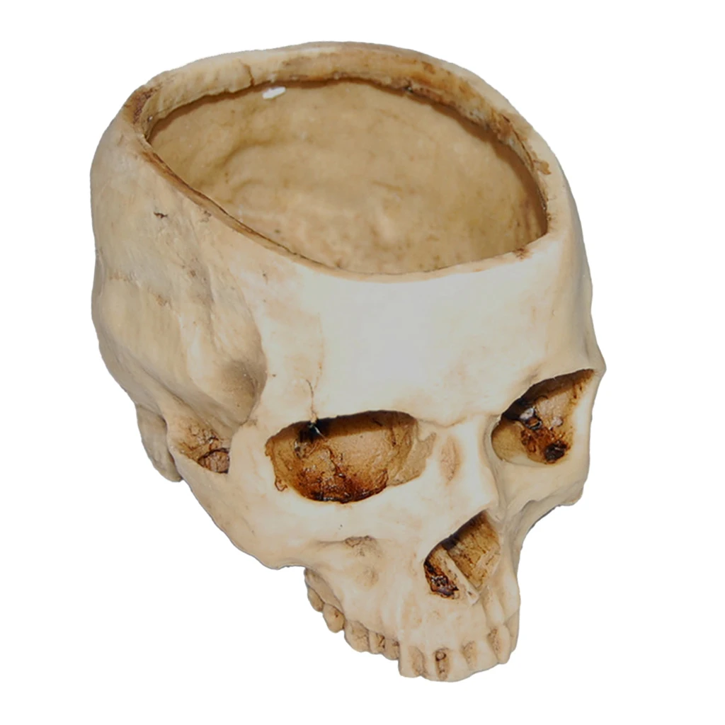 Lab Learning Skull Planter Bowl Statue Sculpture Figurine Succulent Plants Flower Pot Garden Statues  for Anatomical Teaching 
