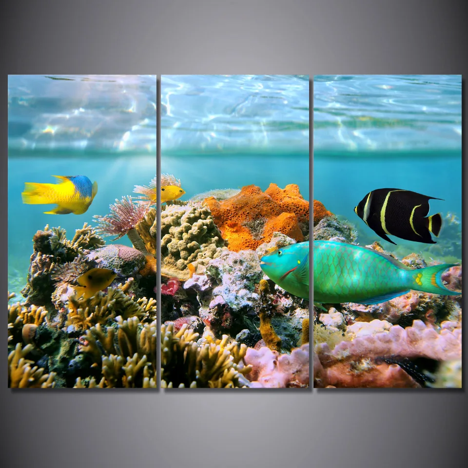 Aliexpress.com : Buy Unframed Tropical Coral Reef Modern Paintings on Canvas 3Pcs Wall Pictures ...