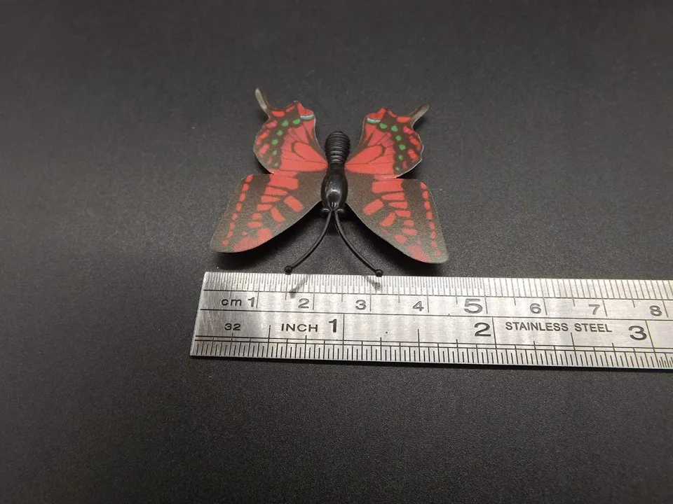 I245-Butterfly (12)