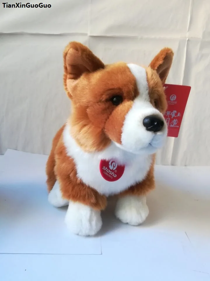 large corgi plush
