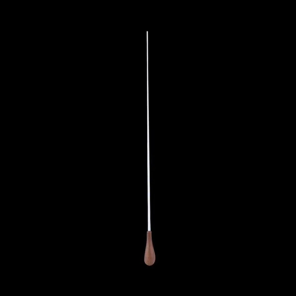 

Wood Handle Music Conductor Baton Symphony Leader Baton Choral Director Guitar Paino Cello Concert Performance Accessories