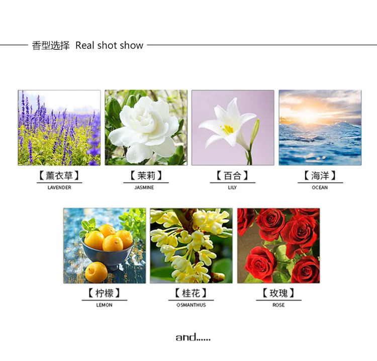9441362418_1015988561