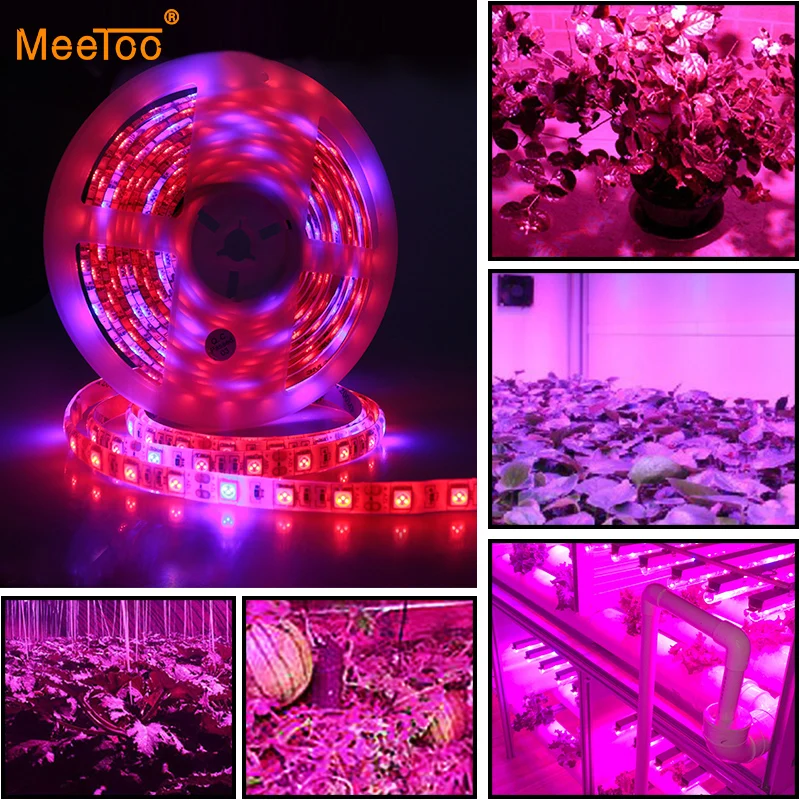 LED Фито Лампы для мотоциклов роста растений SMD 5050 Светодиодные ленты свет DC12V