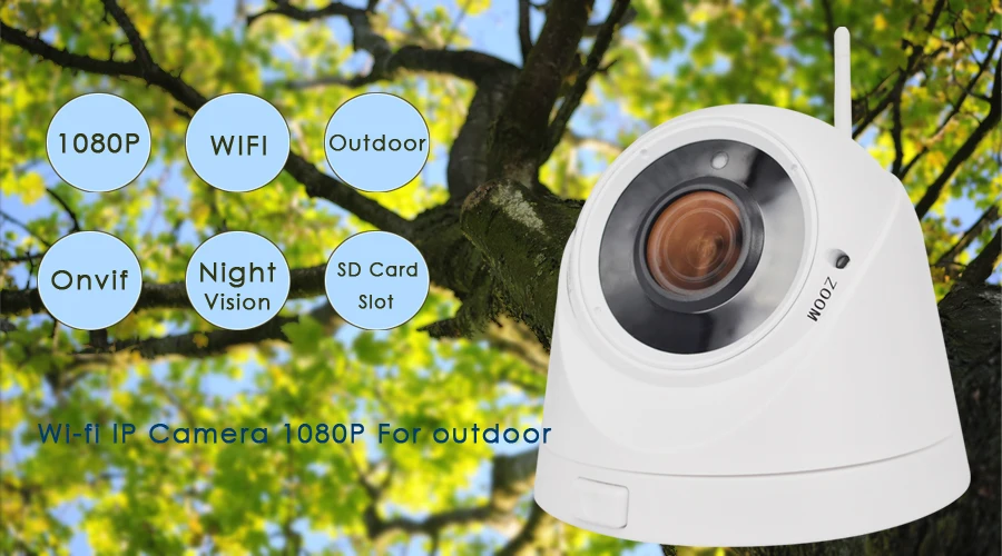 01ip camera outdoor dome