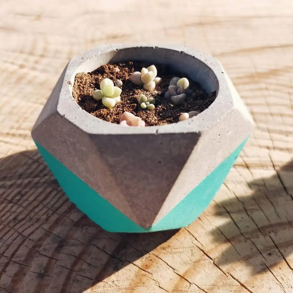 

Creative Flower Pot Molds ,Silicone Concrete Molds ,Cement Molds for Planter