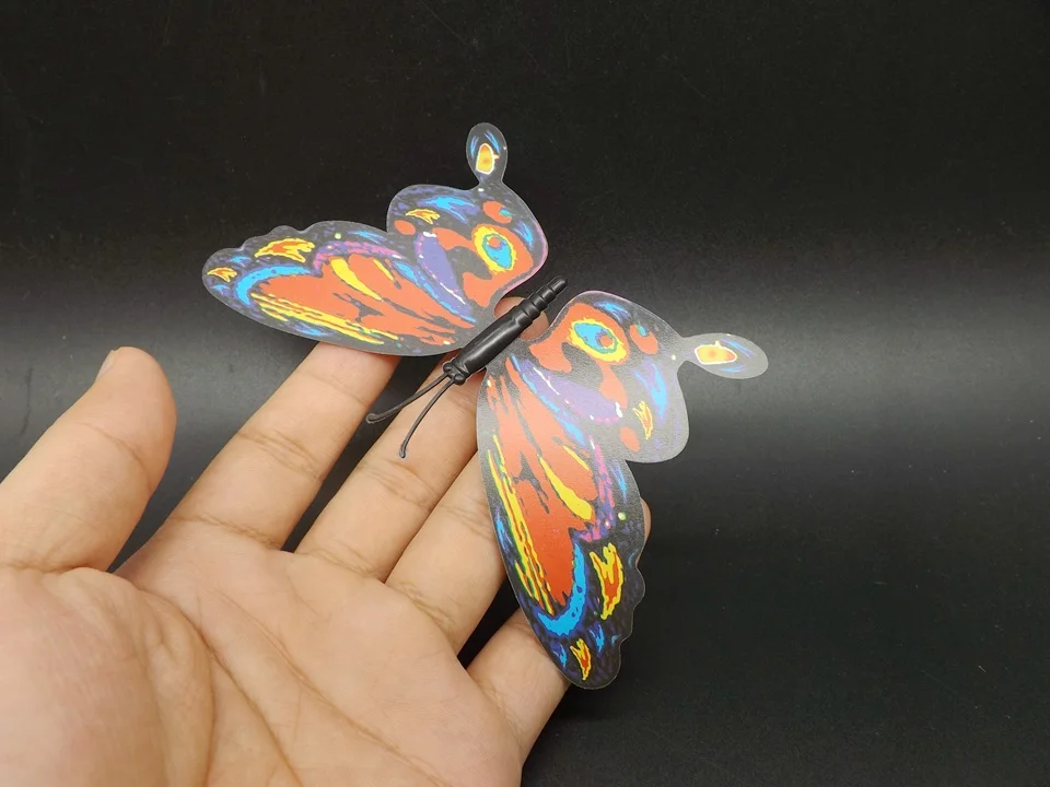 I195-Butterfly (1)