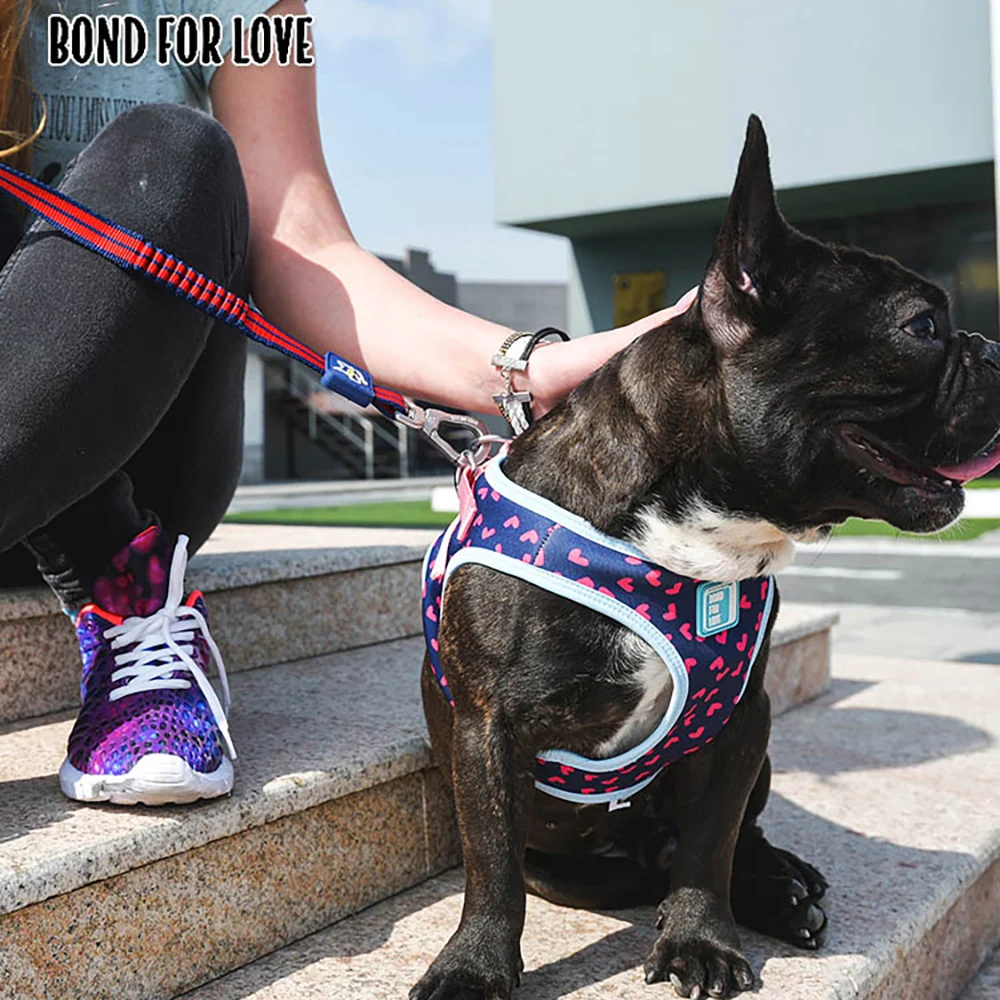 long bungee dog leash