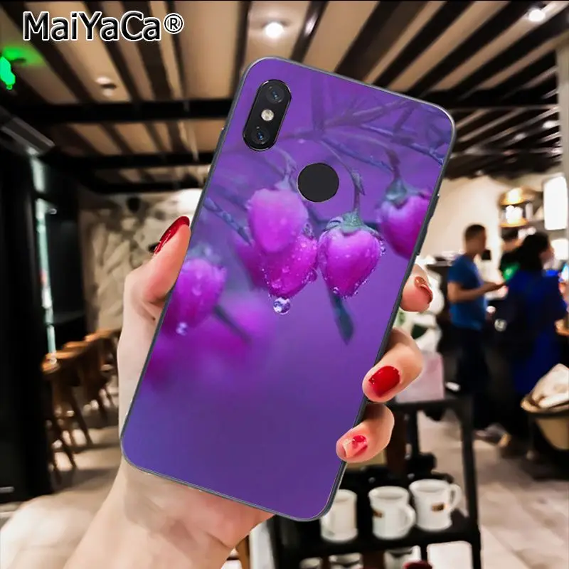 infinity on purple  Flower
