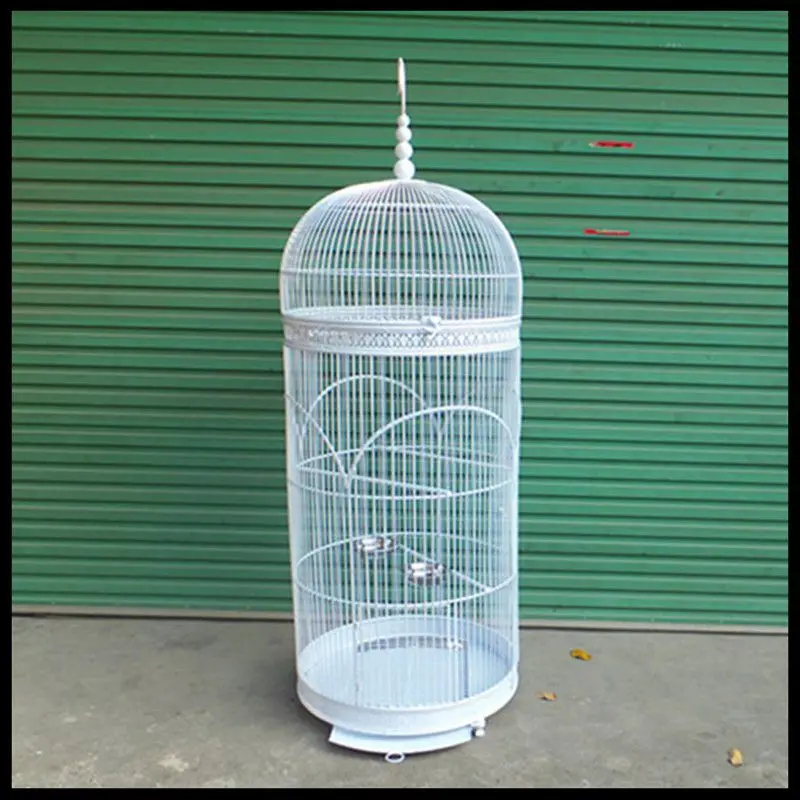 

Metal parrot Eight elder brother Myna The dove large group of bird cages large wrought iron bird cage