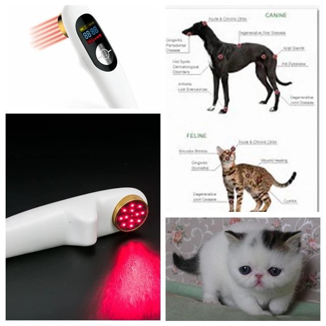 Hot selling laser acupuncture back pain relief machine home remedy