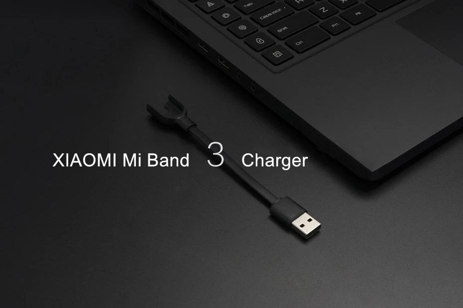 Xiaomi Mi Band 4& Band 3& Band 2 зарядный кабель USB зарядное устройство смарт носимые аксессуары