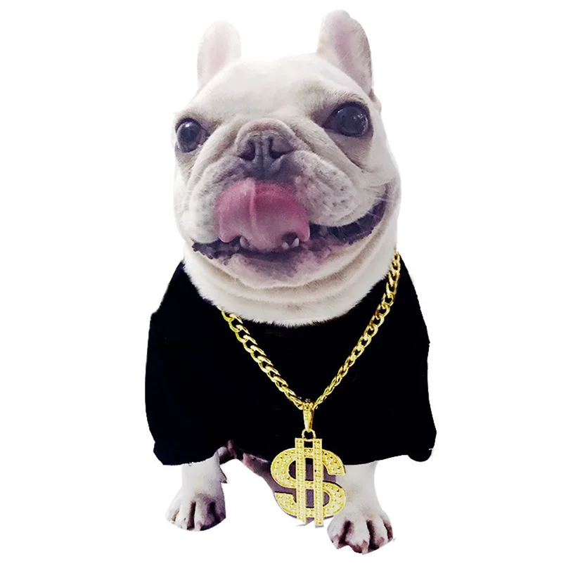 Lucu Kalung Anjing Kucing Anjing Kerah Paduan Emas Dolar Liontin