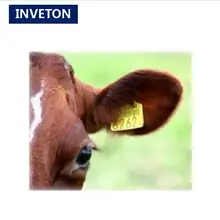 ID животных треков 960 МГц~ 860 МГц ISO 18000-6C RFID Электронный пассивный rfid для прикрепления бирок к ушам животных для коровы/кролика/овец скота отслеживания