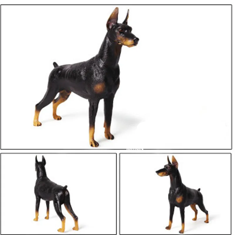 9192477803_1464955482.400x400