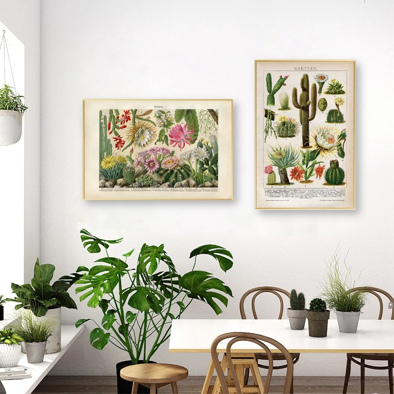 Cactus Flowers Desert Plants Succulents Botanical Unique Poster Wall Decor