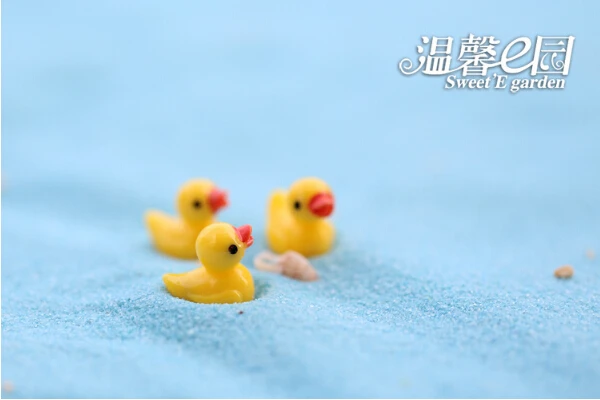 QQ20170506154247