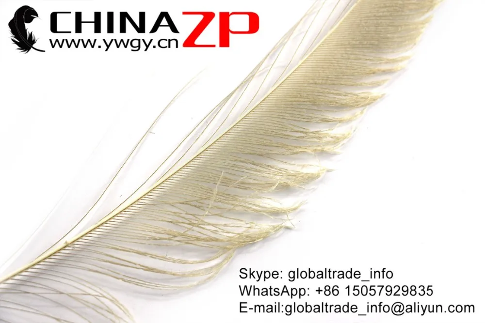Ivory Peacock Sward Cut Feathers (6)
