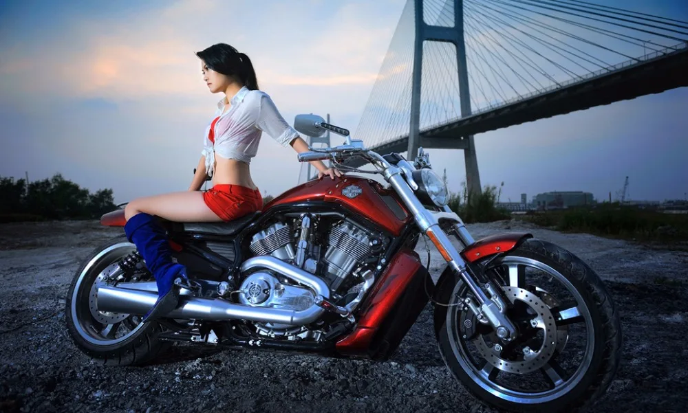 MOTO-02(100x60cm)