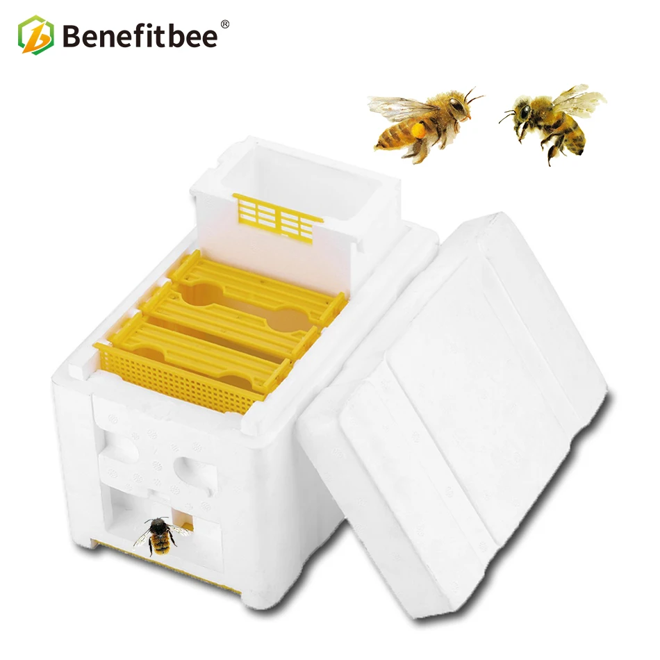 

Beekeeping BeeHive Box Harvest Beehive Queen Mating Hive Benefitbee Brand Queen Mating Beehive Beekeeping Tool Apiculture