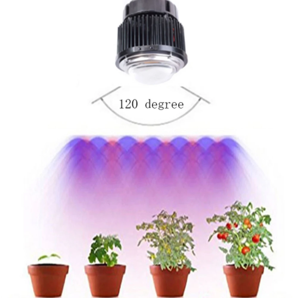Полноспектральная Светодиодная лампа Cree CXB 3590 3500K для гидропоники, лампа для растений с радиатором Meanwell Driver