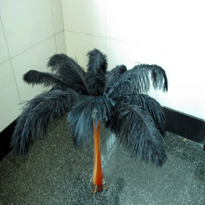 

Wholesale!100pcs 25-30cm/10-12inch black ostrich plumes feather cheap feathers ostrich feather wedding table decoration