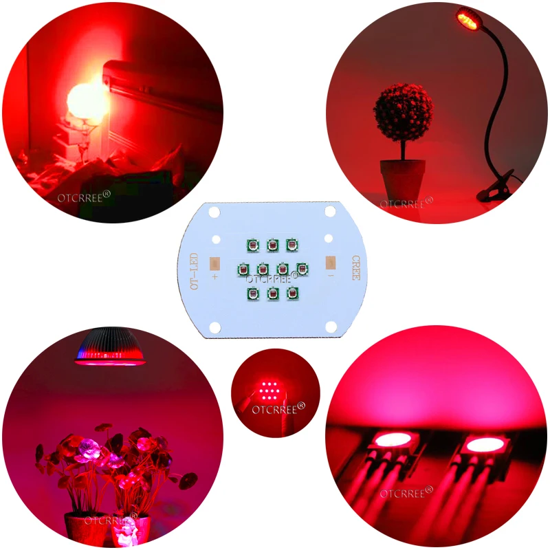 Hydroponice CREE 30W COB led grow light chip XPE Royal Blue 450nm Deep Red 660nm for Indoor Plant Seedling Grow and Flower