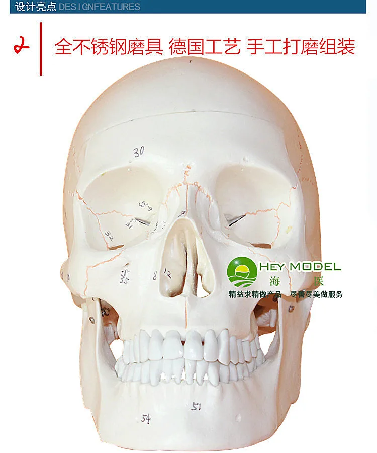 //img.alicdn.com/imgextra/i3/2529213246/TB2DHPTnFXXXXb6XpXXXXXXXXXX_!!2529213246.jpg