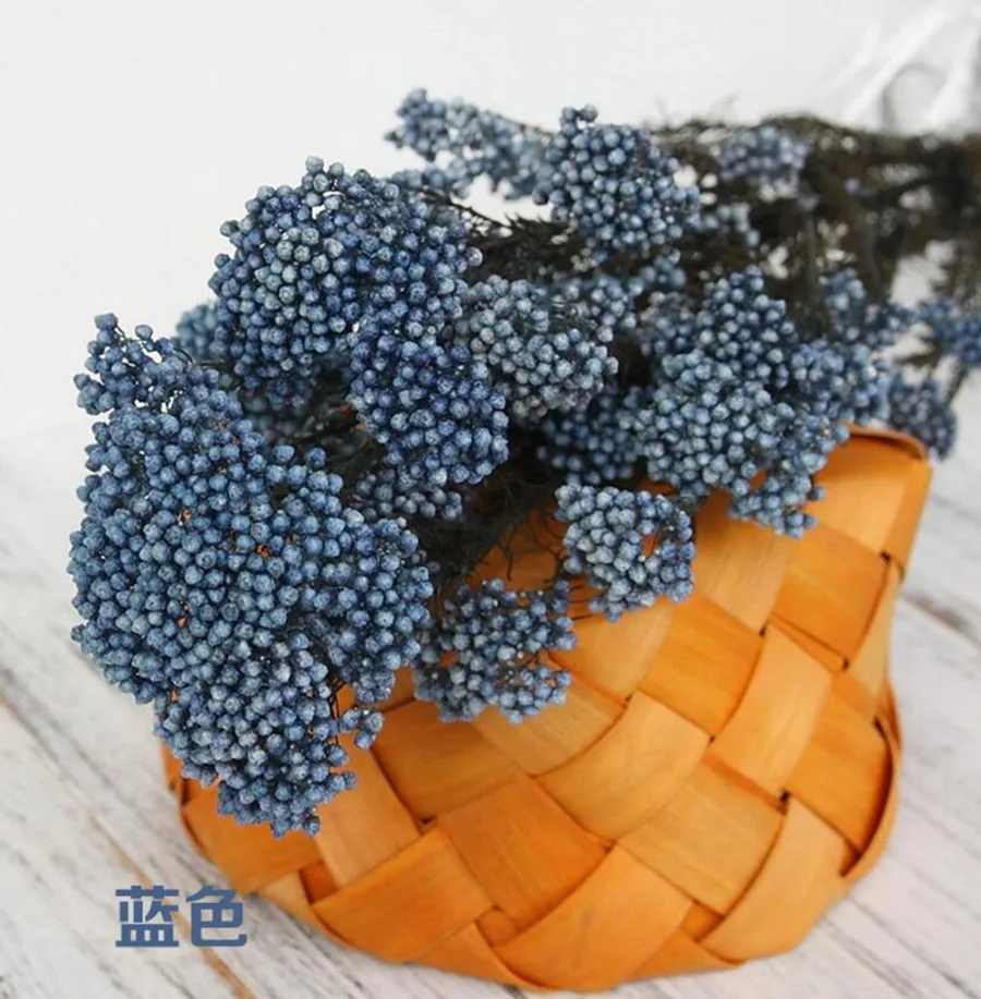 永生米花(爱考拉电子)-蓝