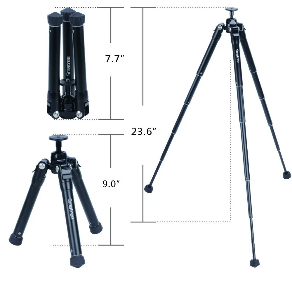 DS25