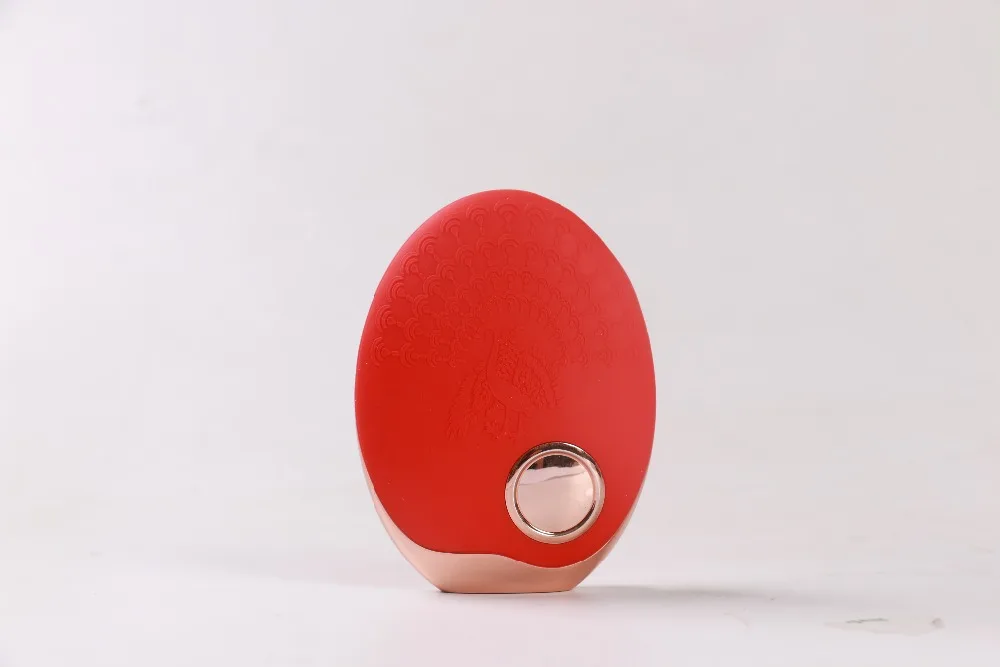 Electric-Facial-Cleanser-Face-Cleaning-Toning-Device (2)