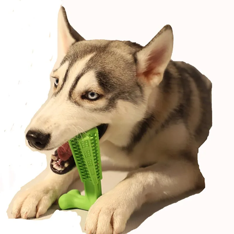 

pet products toy pet pet tooth brush pets bristle brushing stick world's most effective dog toothbrush toy brushing stick pet