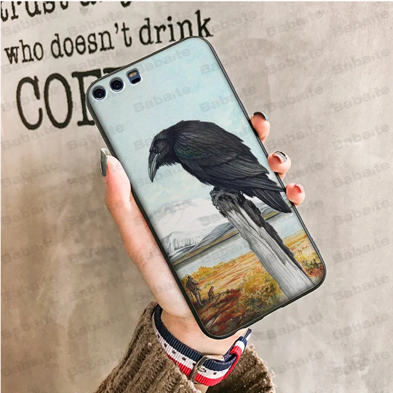 animal crow