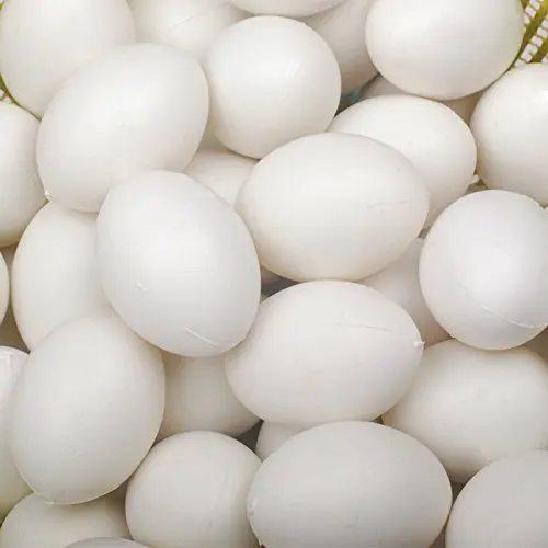 10pcs Solid Plastic Eggs Dummy Eggs For pigeons whiteeggegg omeletegg