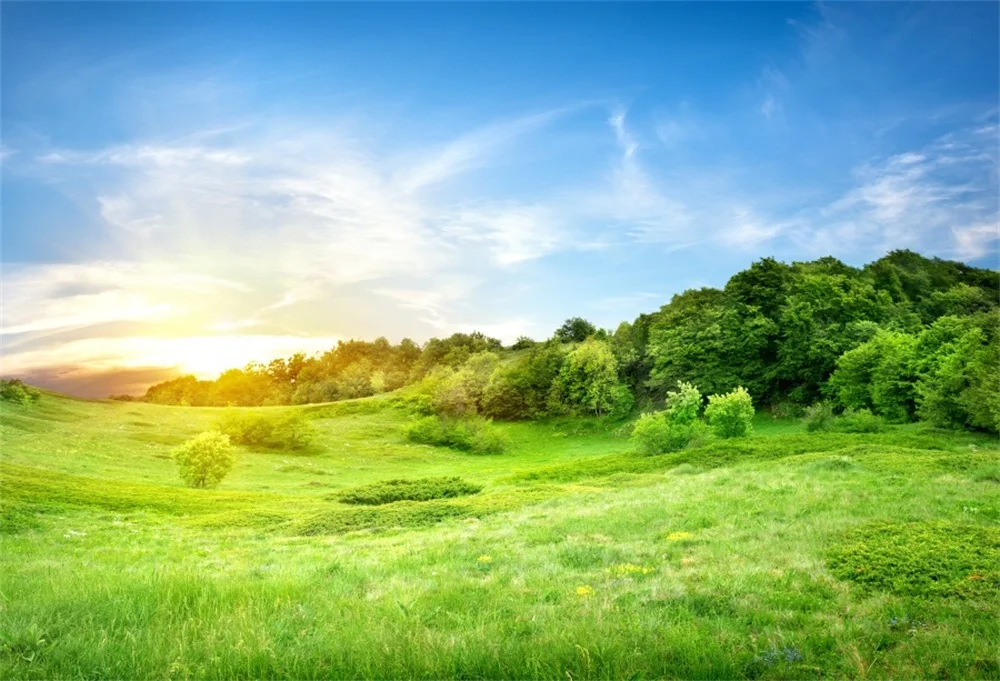 

Laeacco Spring Green Grassland Blue Sky Scenic Photography Backgrounds Customized Vinyl Photographic Backdrops For Photo Studio