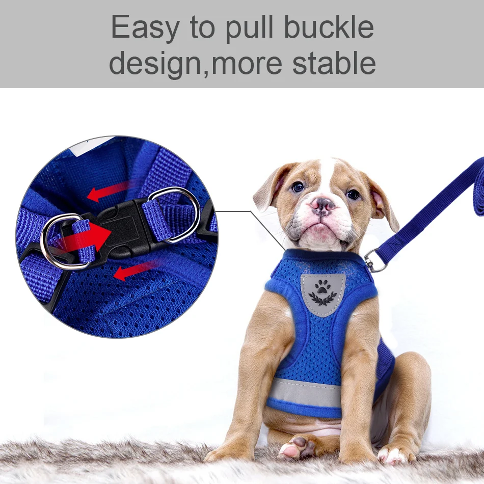 puppy harness and leash
