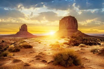 

fondo fotografico Wedding Backgrounds Beautiful Natural Desert Scenery Computer-Printing Backdrops For Photo Studio Children