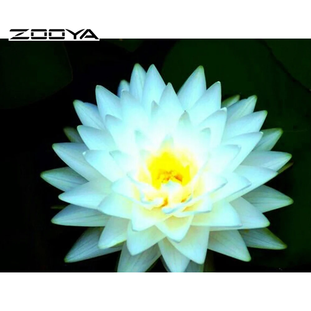 Zooya 5d Diy Diamond Lukisan Bunga Teratai Lukisan Berlian Imitasi Zooya 5d Diy Diamond Lukisan Bunga Teratai Lukisan Berlian Imitasi