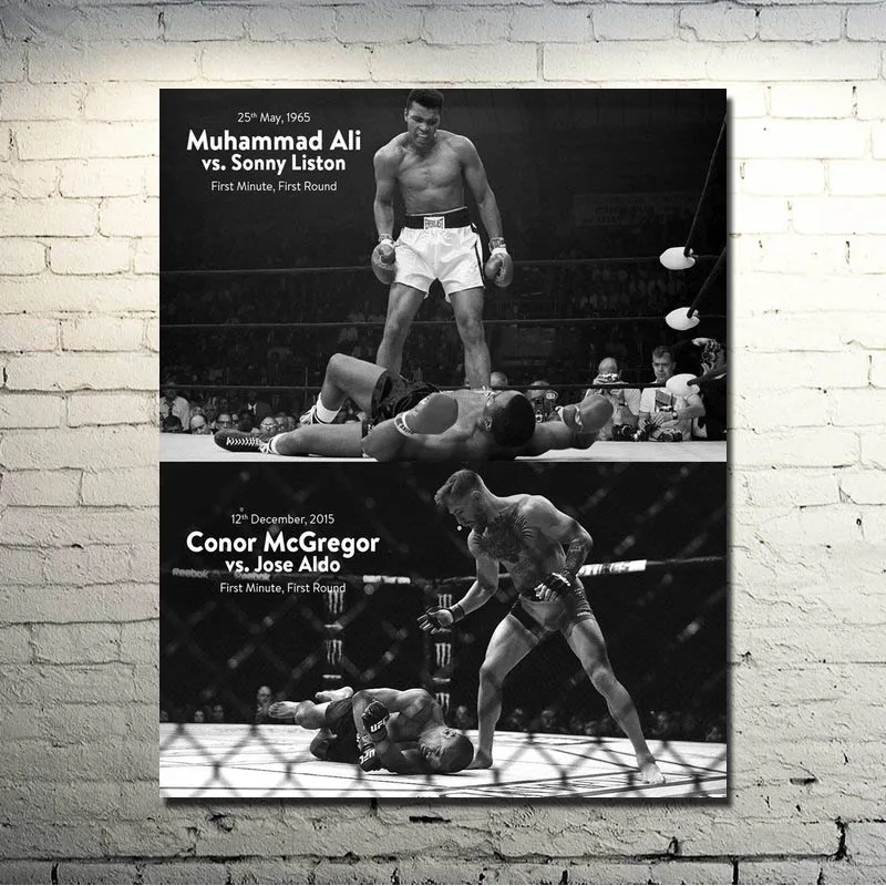 Clearance Silk Gift Fantastic 24x30 Mma 5