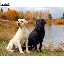 Животные милые алмазные вышивки Лабрадор 5d алмазная живопись полная Алмазная мозаика картина из страз Вышивка крестом на заказ