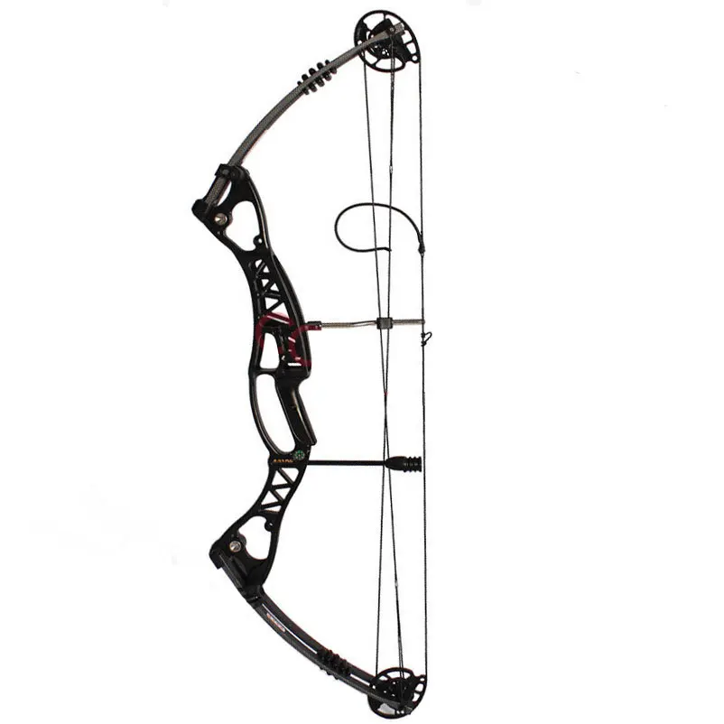 

Compound Bow and Arrow BLACK Bare Bow 40-60 Pounds Shooting Archery and Hunting Equipment