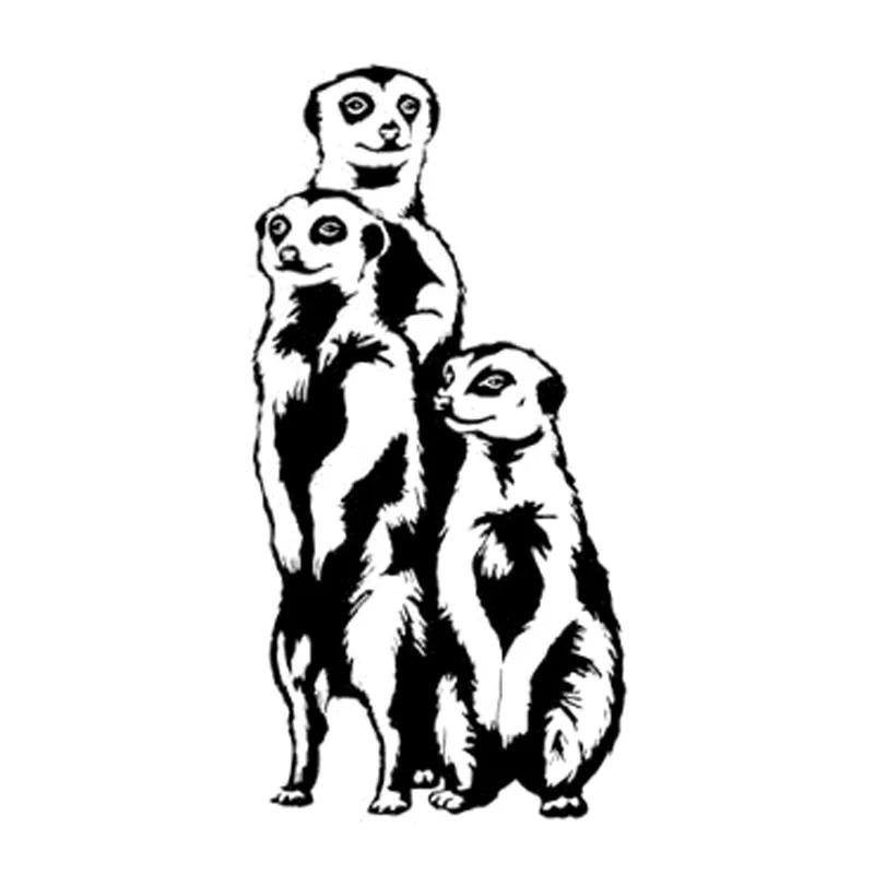 

Tancredy The 2nd Half Price 7.6*15.3cm Meerkat 3D Car Styling Sticker Funny Vinyl car-styling Accessories Stickers and Decals