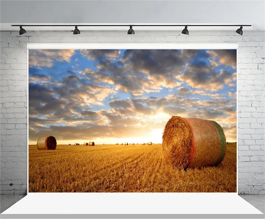 

Laeacco Summer Harvest Farm Field Wheat Roll Scene Photography Backgrounds Vinyl Customs Camera Photo Backdrops For Photo Studio