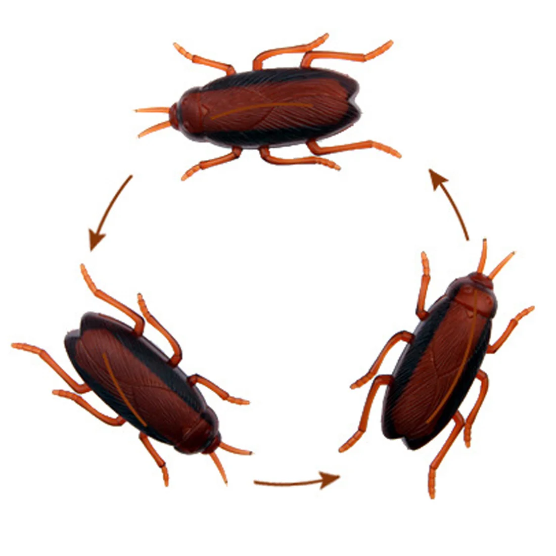 electronic cockroach toy