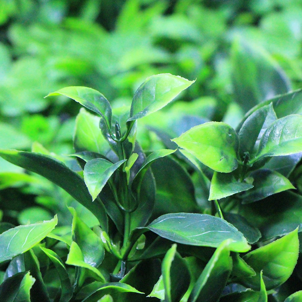 Artificial Boxwood Panels Hedge Wall Privacy Screen Topiary Plant 1x1m Greeny Walls DIY Mats Fencing Backyard Garden Decoration5