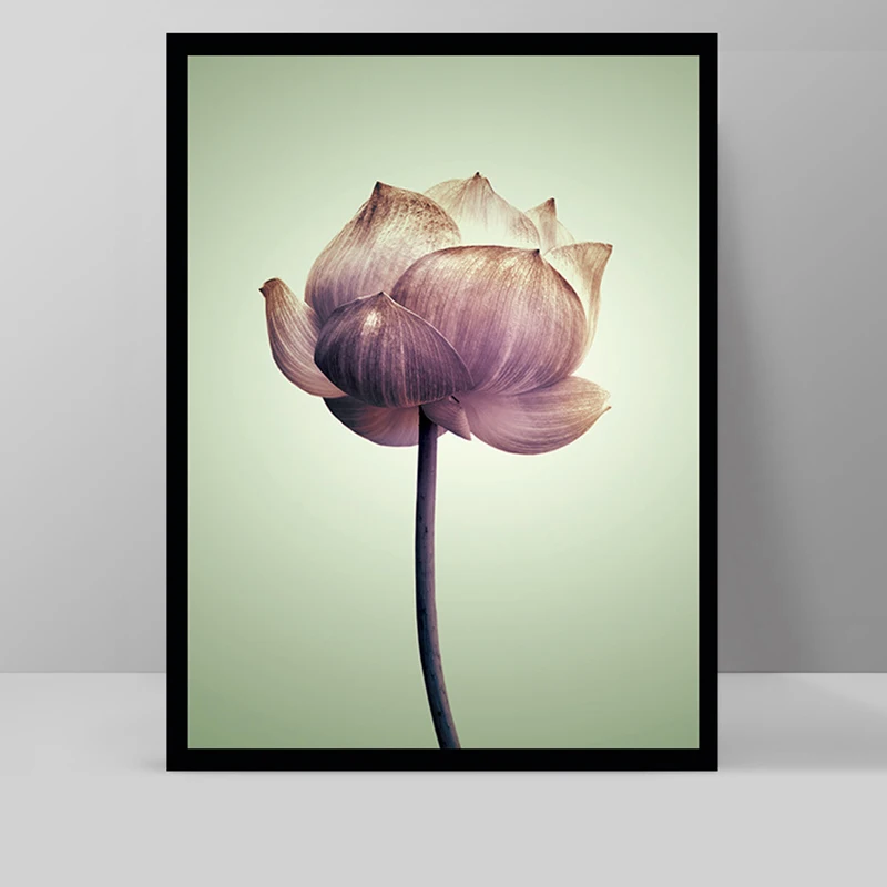 Abstract Vintage Wall Art Lotus Canvas Prints Ancient Lotus Flower