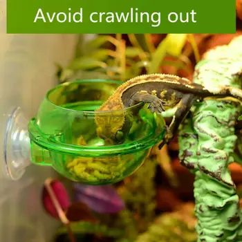 

Smooth Anti-escape Worm Dish for Reptile Feeding Food Bowl Pet Lizard Chameleon