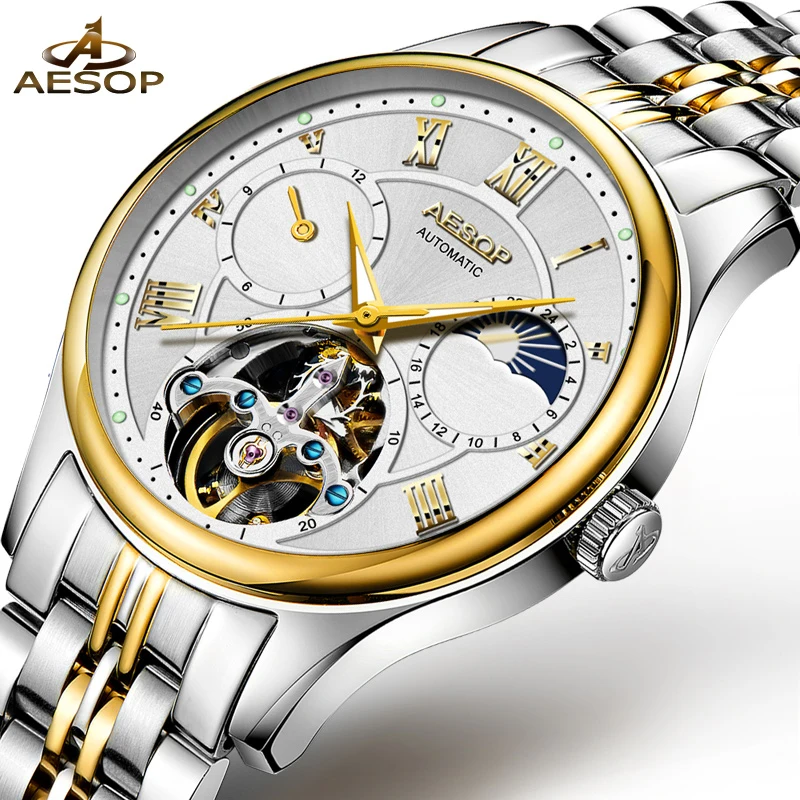 

AESOP Business Automatic Mechanical Watch Men Gold Mens Watches Top Brand Luxury Waterproof Skeleton Clock Men Relogio Masculino